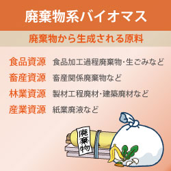廃棄物系バイオマス