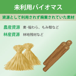 未利用バイオマス